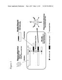 TARGETED ADENOVIRUSES AND METHODS OF MAKING, ISOLATING, AND USING diagram and image