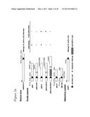 TARGETED ADENOVIRUSES AND METHODS OF MAKING, ISOLATING, AND USING diagram and image