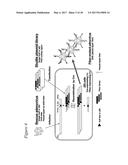 TARGETED ADENOVIRUSES AND METHODS OF MAKING, ISOLATING, AND USING diagram and image