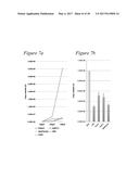 TARGETED ADENOVIRUSES AND METHODS OF MAKING, ISOLATING, AND USING diagram and image