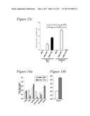 TARGETED ADENOVIRUSES AND METHODS OF MAKING, ISOLATING, AND USING diagram and image