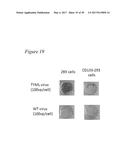 TARGETED ADENOVIRUSES AND METHODS OF MAKING, ISOLATING, AND USING diagram and image