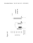 TARGETED ADENOVIRUSES AND METHODS OF MAKING, ISOLATING, AND USING diagram and image