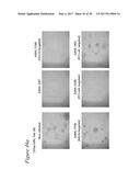 TARGETED ADENOVIRUSES AND METHODS OF MAKING, ISOLATING, AND USING diagram and image