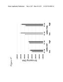 TARGETED ADENOVIRUSES AND METHODS OF MAKING, ISOLATING, AND USING diagram and image