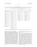 TARGETED ADENOVIRUSES AND METHODS OF MAKING, ISOLATING, AND USING diagram and image