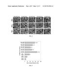 POLY(THIOKETAL-URETHANE) SCAFFOLDS AND METHODS OF USE diagram and image