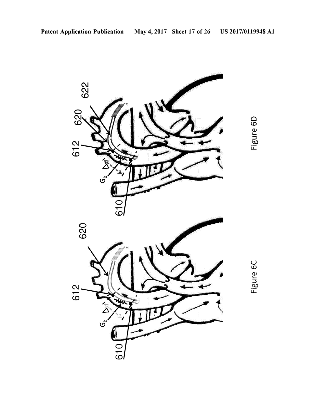 SYSTEMS AND METHODS FOR PROVIDING ZONES OF SELECTIVE THERMAL THERAPY - diagram, schematic, and image 18