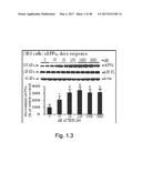 COMPOUNDS AND METHODS OF TREATING NEUROLOGICAL DISORDERS diagram and image