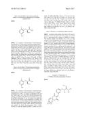 METHOD OF FLUORINATION USING IODONIUM YLIDES diagram and image