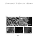 ENCAPSULATED SULFUR CATHODES FOR RECHARGEABLE LITHIUM BATTERIES diagram and image