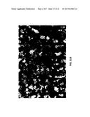 COMPOSITION OF A NICKELATE COMPOSITE CATHODE FOR A FUEL CELL diagram and image