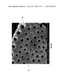 DIATOMACEOUS ENERGY STORAGE DEVICES diagram and image