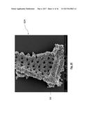 DIATOMACEOUS ENERGY STORAGE DEVICES diagram and image