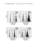 ON-CHIP AGING SENSOR AND COUNTERFEIT INTEGRATED CIRCUIT DETECTION METHOD diagram and image