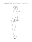 PREGNANCY MONITORING DEVICES, SYSTEMS, AND RELATED METHODS diagram and image
