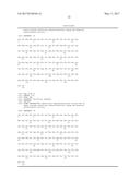 Therapeutic Charge Engineered Variants of Lysozyme and Methods for Using     Same to Treat Infections diagram and image