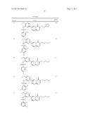 PYRIDINO[1,2-A]PYRIMIDONE ANALOGUE USED AS MTOR/P13K INHIBITOR diagram and image