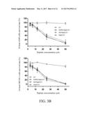 PEPTIDES WITH ANTIMICROBIAL, ANTICANCER AND/OR WOUND-HEALING PROMOTING     ACTIVITIES, PHARMACEUTICAL COMPOSITIONS CONTAINING THE SAME, AND USE OF     THE PEPTIDES WITH ANTIMICROBIAL, ANTICANCER AND/OR WOUND-HEALING     PROMOTING ACTIVITIES diagram and image