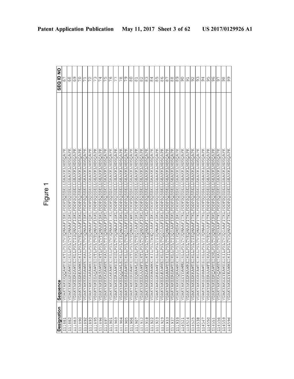 New Polypeptide - diagram, schematic, and image 04