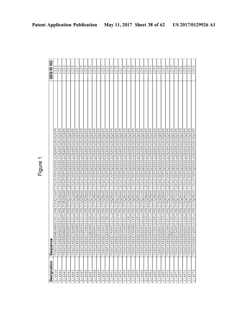 New Polypeptide - diagram, schematic, and image 39