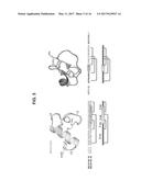 CYSTINE KNOT SCAFFOLD PLATFORM diagram and image