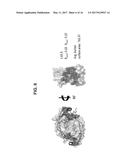 CYSTINE KNOT SCAFFOLD PLATFORM diagram and image