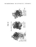 CYSTINE KNOT SCAFFOLD PLATFORM diagram and image