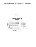 ANTIBODIES TO PALIPERIDONE HAPTENS AND USE THEREOF diagram and image