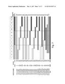 A COMPUTER IMPLEMENTED METHOD OF DERIVING PERFORMANCE FROM A LOCAL MODEL diagram and image