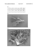 LETTUCE VARIETY 79-36 RZ diagram and image