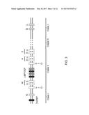 GENETICALLY MODIFIED MAJOR HISTOCOMPATIBILITY COMPLEX MICE diagram and image