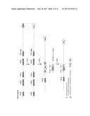 GENETICALLY MODIFIED MAJOR HISTOCOMPATIBILITY COMPLEX MICE diagram and image