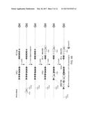 GENETICALLY MODIFIED MAJOR HISTOCOMPATIBILITY COMPLEX MICE diagram and image