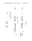 GENETICALLY MODIFIED MAJOR HISTOCOMPATIBILITY COMPLEX MICE diagram and image