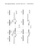 GENETICALLY MODIFIED MAJOR HISTOCOMPATIBILITY COMPLEX MICE diagram and image