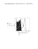 GENETICALLY MODIFIED MAJOR HISTOCOMPATIBILITY COMPLEX MICE diagram and image