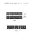 SYSTEMS AND METHODS FOR SURFACE RETENTION OF FLUIDS diagram and image