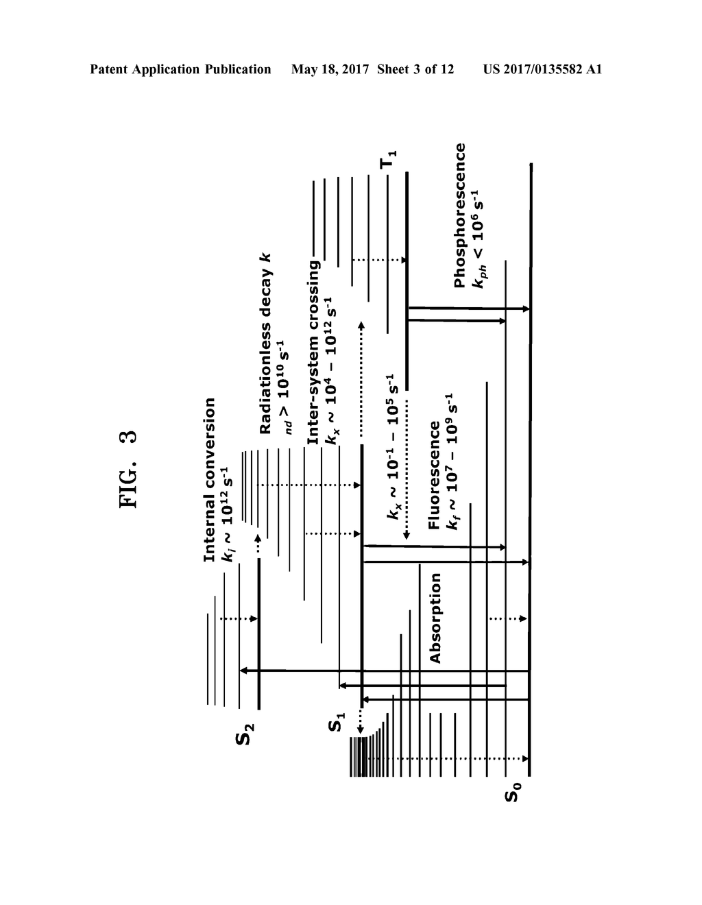 RAMAN SIGNAL MEASURING METHOD AND APPARATUS, AND BIOMETRIC INFORMATION     ANALYZING APPARATUS INCLUDING THE RAMAN SIGNAL MEASURING APPARATUS - diagram, schematic, and image 04