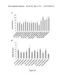 METHODS AND COMPOSITIONS OF BILE ACIDS AND SALTS FOR REDUCTION OF FAT diagram and image