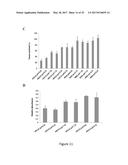 METHODS AND COMPOSITIONS OF BILE ACIDS AND SALTS FOR REDUCTION OF FAT diagram and image