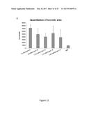 METHODS AND COMPOSITIONS OF BILE ACIDS AND SALTS FOR REDUCTION OF FAT diagram and image