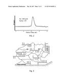 CO-NETWORK OF HIGH AND LOW MOLECULAR WEIGHT 3-ARM STAR     CYANOACRYLATE-TELECHELIC POLYISOBUTYLENE AND 2-OCTYL CYANOACRYLATE diagram and image