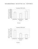 METHODS OF USING REGENERATIVE CELLS IN THE TREATMENT OF RENAL DISEASES AND     DISORDERS diagram and image