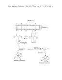 MULTIFUNCTIONAL BIODEGRADABLE PEG NANOCARRIER-BASED HYDROGELS FOR     PREVENTING HIV TRANSMISSION diagram and image