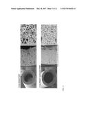 HYDROCARBON REVERSE OSMOSIS MEMBRANES AND SEPARATIONS diagram and image