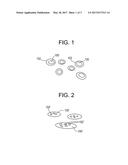 POWDER, PROCESS OF MAKING THE POWDER, AND ARTICLES MADE THEREFROM diagram and image