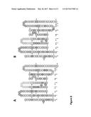 VACCINES AND MONOCLONAL ANTIBODIES TARGETING TRUNCATED VARIANTS OF     OSTEOPONTIN AND USES THEREOF diagram and image