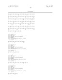 VACCINES AND MONOCLONAL ANTIBODIES TARGETING TRUNCATED VARIANTS OF     OSTEOPONTIN AND USES THEREOF diagram and image