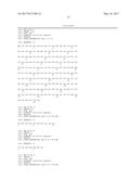 VACCINES AND MONOCLONAL ANTIBODIES TARGETING TRUNCATED VARIANTS OF     OSTEOPONTIN AND USES THEREOF diagram and image